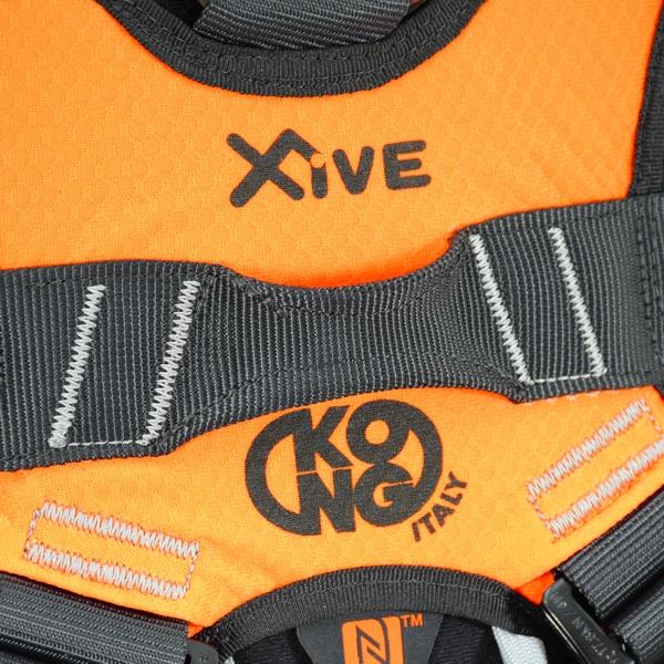 KONG X-FIVE + Digital Company Association - immagine 8